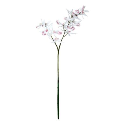 productHero-SPOTWF-BP80665006-white
