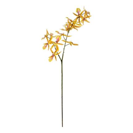 productHero-SPOTWF-BP80665006-yellow