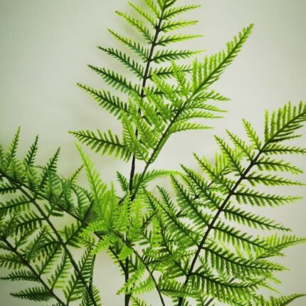 productHero-SPOTWF-BP80665011-green-2