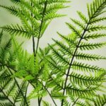 productHero-SPOTWF-BP80665011-green-4
