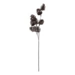 productHero-SPOTWF-BP80665375-brown-3