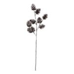 productHero-SPOTWF-BP80665375-brown-5
