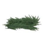 productHero-SPOTWF-BP80666314-green