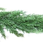productHero-SPOTWF-BP80666314-green-3