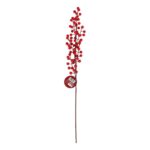 productHero-SPOTWF-BP80666322-red-berry-2