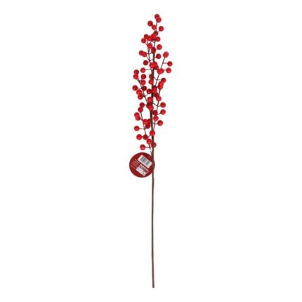 productHero-SPOTWF-BP80666322-red-berry-2