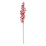 productHero-SPOTWF-BP80666322-red-berry-3