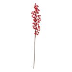 productHero-SPOTWF-BP80666322-red-berry-4