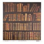 productHero-SPOTWF-BP80668917-library-2