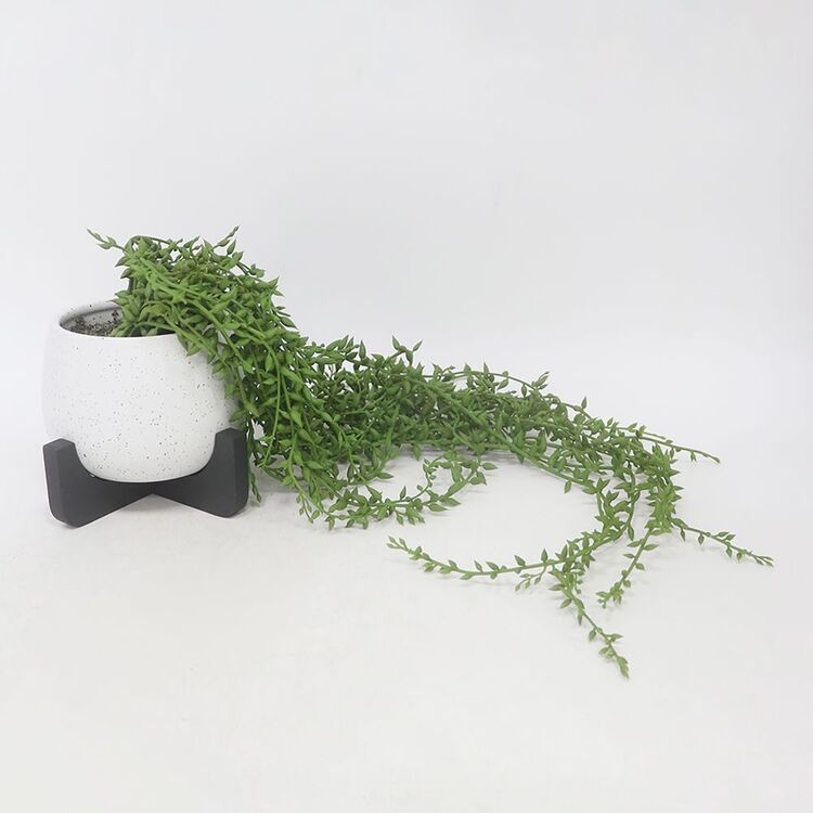 productHero-SPOTWF-BP80669174-white productHero-SPOTWF-BP80669174-white