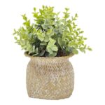 productHero-SPOTWF-BP80669176-natural-green