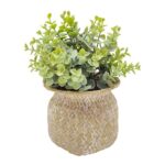 productHero-SPOTWF-BP80669176-natural-green-2