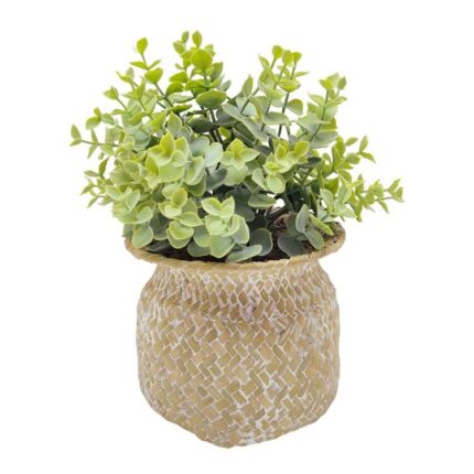 productHero-SPOTWF-BP80669176-natural-green-2