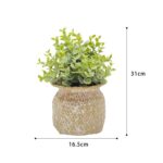 productHero-SPOTWF-BP80669176-natural-green-4