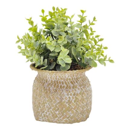 productHero-SPOTWF-BP80669176-natural-green