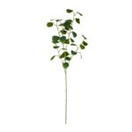 productHero-SPOTWF-BP80671055-dark-green