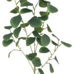 productHero-SPOTWF-BP80671055-dark-green-4