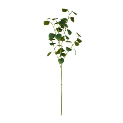 productHero-SPOTWF-BP80671055-dark-green