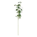 productHero-SPOTWF-BP80671055-dark-green-5