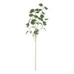 productHero-SPOTWF-BP80671055-dark-green-6
