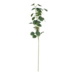 productHero-SPOTWF-BP80671055-dark-green-7