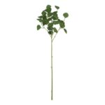 productHero-SPOTWF-BP80671055-dark-green-8