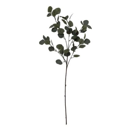 productHero-SPOTWF-BP80671055-green