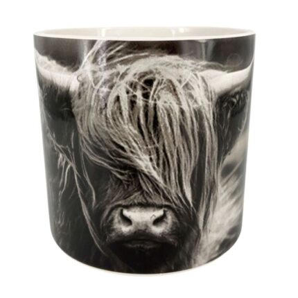 productHero-SPOTWF-BP80672966-black-white