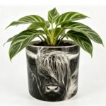 productHero-SPOTWF-BP80672966-black-white-5