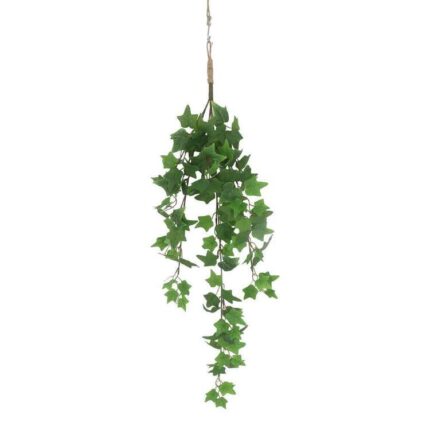 productHero-SPOTWF-BP80675953-green