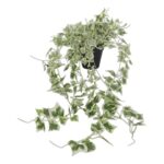 productHero-SPOTWF-BP80675953-green-6