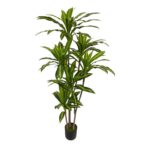 productHero-SPOTWF-BP80682101-green