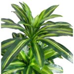 productHero-SPOTWF-BP80682101-green-2