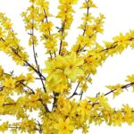 productHero-SPOTWF-BP80682103-yellow-3