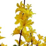 productHero-SPOTWF-BP80682103-yellow-4