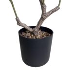 productHero-SPOTWF-BP80682110-green-4