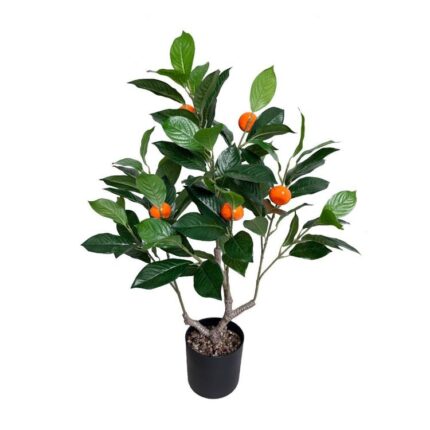 productHero-SPOTWF-BP80682110-green