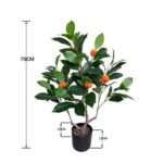productHero-SPOTWF-BP80682110-green-5