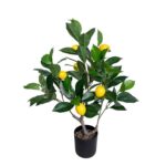 productHero-SPOTWF-BP80682111-green