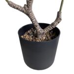 productHero-SPOTWF-BP80682111-green-3
