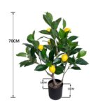 productHero-SPOTWF-BP80682111-green-4