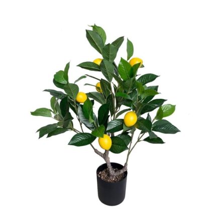productHero-SPOTWF-BP80682111-green