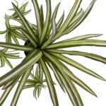 productHero-SPOTWF-BP80682112-green-2