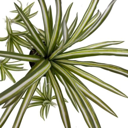 productHero-SPOTWF-BP80682112-green-2