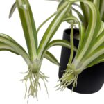 productHero-SPOTWF-BP80682112-green-4