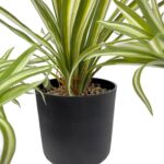 productHero-SPOTWF-BP80682112-green-5
