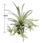 productHero-SPOTWF-BP80682112-green-7