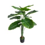 productHero-SPOTWF-BP80682114-green