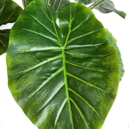 productHero-SPOTWF-BP80682114-green-2