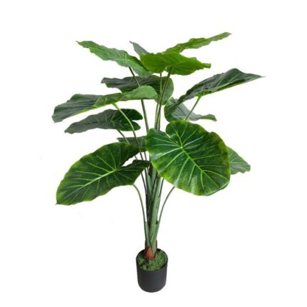 productHero-SPOTWF-BP80682114-green
